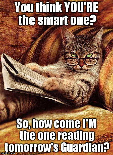 cat reading | You think YOU'RE the smart one? So, how come I'M the one reading tomorrow's Guardian? | image tagged in cat reading | made w/ Imgflip meme maker