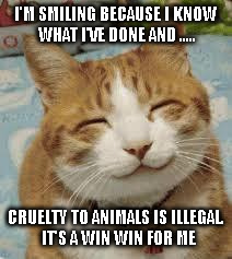 Happy cat | I'M SMILING BECAUSE I KNOW WHAT I'VE DONE AND ..... CRUELTY TO ANIMALS IS ILLEGAL.  IT'S A WIN WIN FOR ME | image tagged in happy cat | made w/ Imgflip meme maker