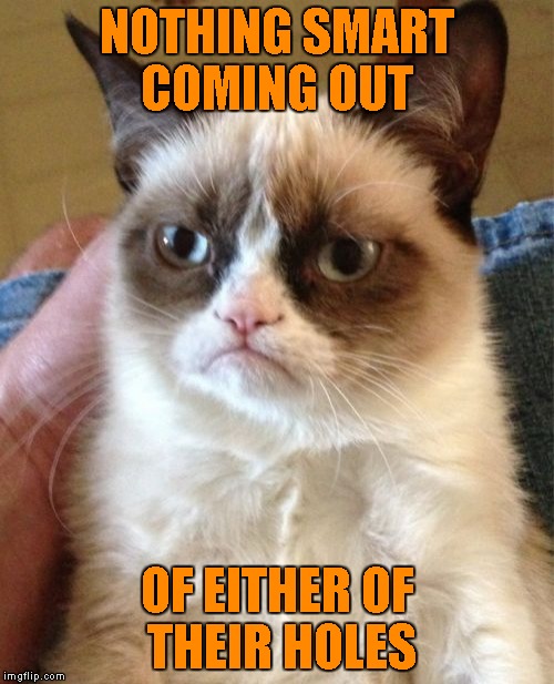 Grumpy Cat Meme | NOTHING SMART COMING OUT OF EITHER OF THEIR HOLES | image tagged in memes,grumpy cat | made w/ Imgflip meme maker