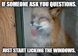 IF SOMEONE ASK YOU QUESTIONS. JUST START LICKING THE WINDOWS. | image tagged in crazy,licking,lick | made w/ Imgflip meme maker