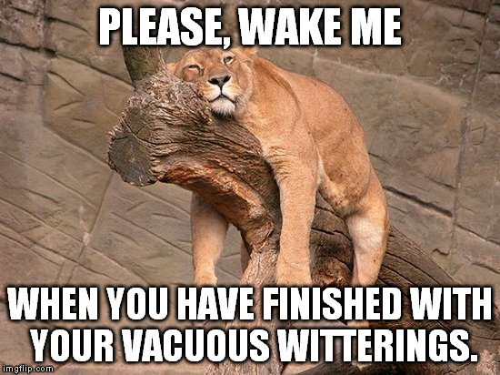 Tired Lion | PLEASE, WAKE ME; WHEN YOU HAVE FINISHED WITH YOUR VACUOUS WITTERINGS. | image tagged in tired lion | made w/ Imgflip meme maker