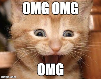 Excited Cat Meme | OMG OMG; OMG | image tagged in memes,excited cat | made w/ Imgflip meme maker