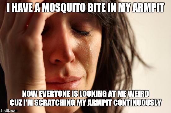 First World Problems | I HAVE A MOSQUITO BITE IN MY ARMPIT; NOW EVERYONE IS LOOKING AT ME WEIRD CUZ I'M SCRATCHING MY ARMPIT CONTINUOUSLY | image tagged in memes,first world problems | made w/ Imgflip meme maker