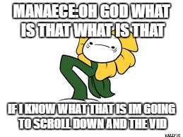 MANAECE:OH GOD WHAT IS THAT WHAT IS THAT; IF I KNOW WHAT THAT IS IM GOING TO SCROLL DOWN AND THE VID | image tagged in wtf | made w/ Imgflip meme maker