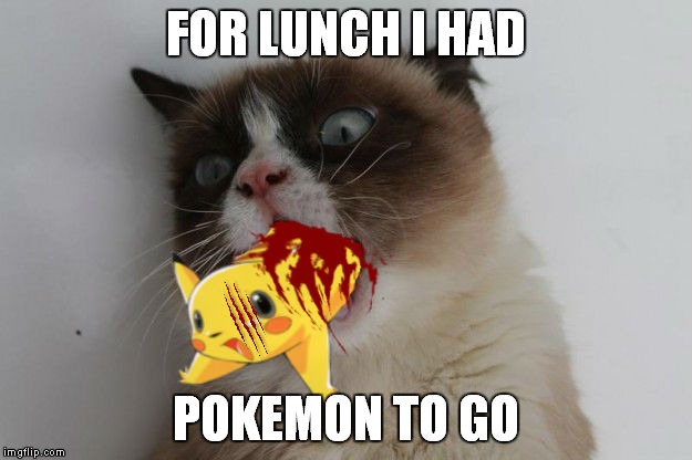 FOR LUNCH I HAD POKEMON TO GO | made w/ Imgflip meme maker