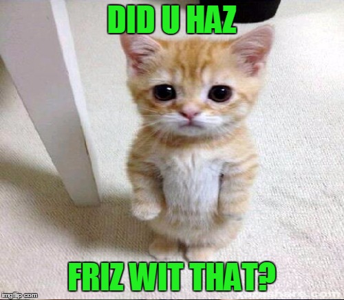 DID U HAZ FRIZ WIT THAT? | made w/ Imgflip meme maker