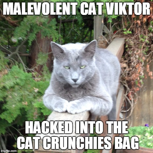 MALEVOLENT CAT VIKTOR; HACKED INTO THE CAT CRUNCHIES BAG | image tagged in malevolent cat viktor | made w/ Imgflip meme maker