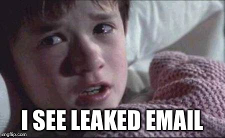 I See Dead People Meme | I SEE LEAKED EMAIL | image tagged in memes,i see dead people | made w/ Imgflip meme maker