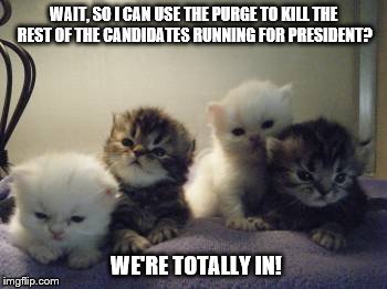 I definitely would | WAIT, SO I CAN USE THE PURGE TO KILL THE REST OF THE CANDIDATES RUNNING FOR PRESIDENT? WE'RE TOTALLY IN! | image tagged in cute kittens,the purge,kill the candidates,2016 | made w/ Imgflip meme maker