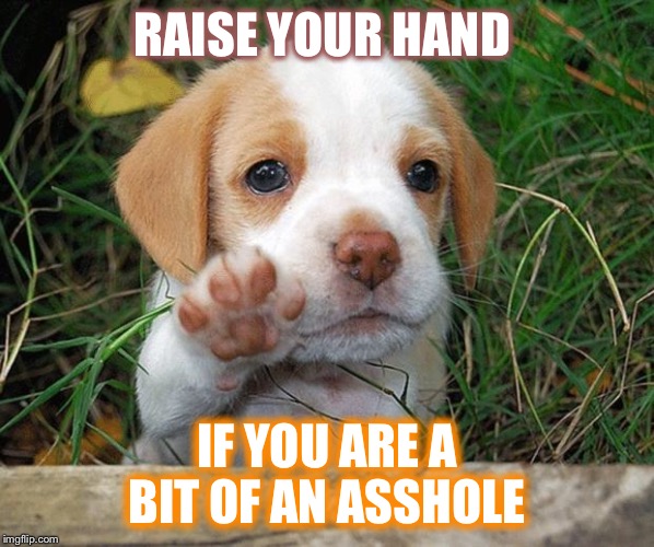 dog puppy bye | RAISE YOUR HAND; IF YOU ARE A BIT OF AN ASSHOLE | image tagged in dog puppy bye | made w/ Imgflip meme maker