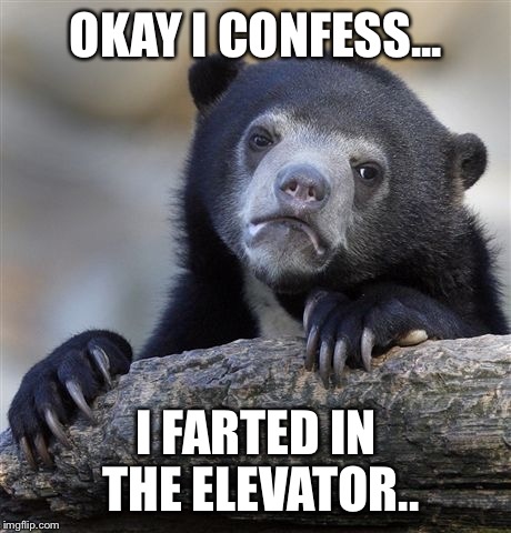 Confession Bear | OKAY I CONFESS... I FARTED IN THE ELEVATOR.. | image tagged in memes,confession bear | made w/ Imgflip meme maker