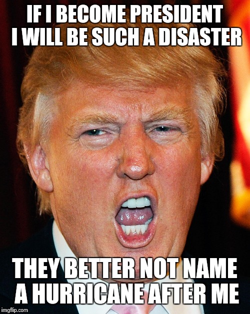Donald Trump I Will Duck You Up | IF I BECOME PRESIDENT I WILL BE SUCH A DISASTER; THEY BETTER NOT NAME A HURRICANE AFTER ME | image tagged in donald trump i will duck you up | made w/ Imgflip meme maker