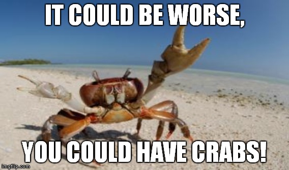 IT COULD BE WORSE, YOU COULD HAVE CRABS! | made w/ Imgflip meme maker