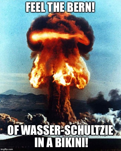 Wasser-Schultz gets Klinked! |  FEEL THE BERN! OF WASSER-SCHULTZIE IN A BIKINI! | image tagged in atomic explosion | made w/ Imgflip meme maker