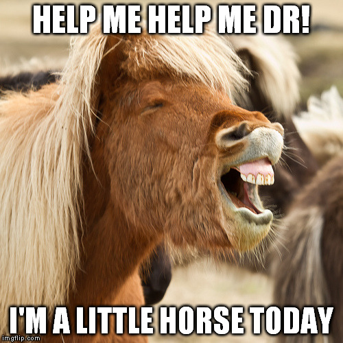HELP ME HELP ME DR! I'M A LITTLE HORSE TODAY | made w/ Imgflip meme maker