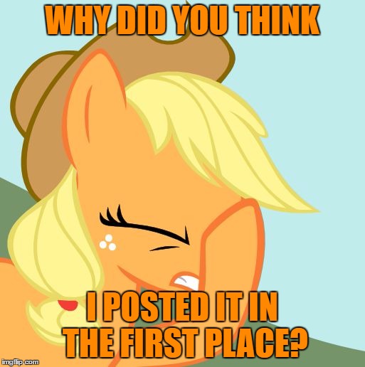 WHY DID YOU THINK I POSTED IT IN THE FIRST PLACE? | image tagged in applejack facehoof | made w/ Imgflip meme maker