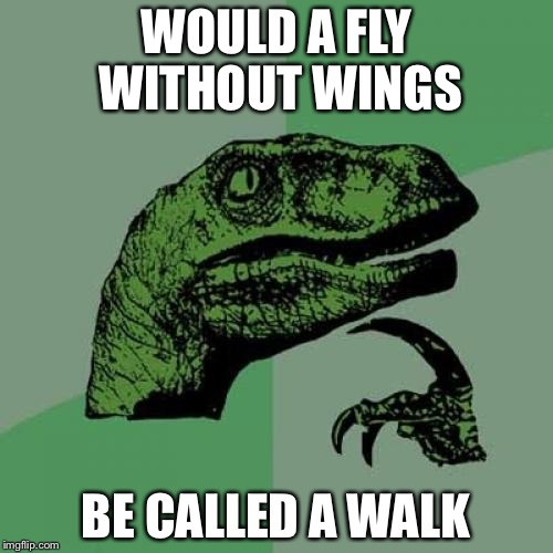 Shoo fly, fly away
 | WOULD A FLY WITHOUT WINGS; BE CALLED A WALK | image tagged in memes,philosoraptor | made w/ Imgflip meme maker