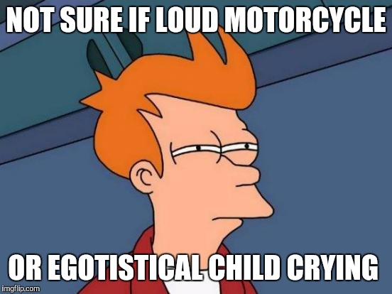 Futurama Fry | NOT SURE IF LOUD MOTORCYCLE; OR EGOTISTICAL CHILD CRYING | image tagged in memes,futurama fry | made w/ Imgflip meme maker