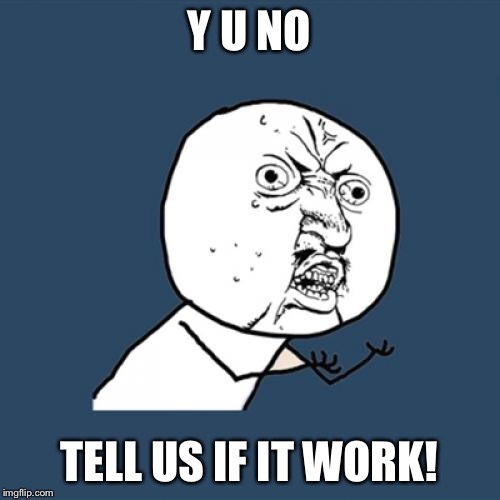 Y U No Meme | Y U NO TELL US IF IT WORK! | image tagged in memes,y u no | made w/ Imgflip meme maker