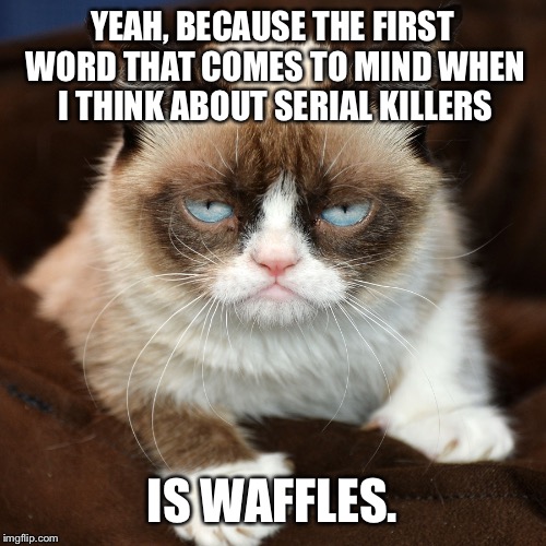 Waffle loving killers | YEAH, BECAUSE THE FIRST WORD THAT COMES TO MIND WHEN I THINK ABOUT SERIAL KILLERS; IS WAFFLES. | image tagged in sarcasm,waffles,creepypasta,serial killer,ticci toby | made w/ Imgflip meme maker