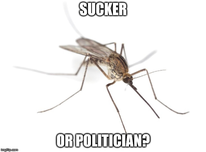 Politician | SUCKER; OR POLITICIAN? | image tagged in mosquito attack | made w/ Imgflip meme maker