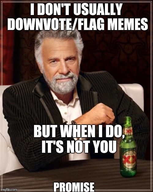 The Most Interesting Man In The World Meme | I DON'T USUALLY DOWNVOTE/FLAG MEMES; BUT WHEN I DO, IT'S NOT YOU; PROMISE | image tagged in memes,the most interesting man in the world | made w/ Imgflip meme maker