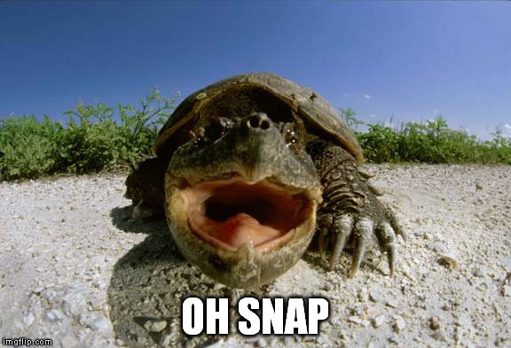 Oh Snap | OH SNAP | image tagged in oh snap | made w/ Imgflip meme maker