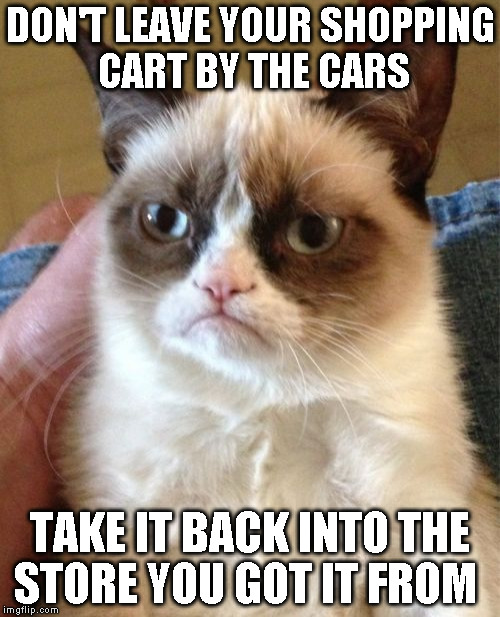 Grumpy Cat | DON'T LEAVE YOUR SHOPPING CART BY THE CARS; TAKE IT BACK INTO THE STORE YOU GOT IT FROM | image tagged in memes,grumpy cat | made w/ Imgflip meme maker