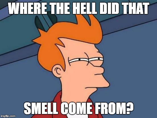 I got into my car after it's been sitting in 100 degree heat all day | WHERE THE HELL DID THAT; SMELL COME FROM? | image tagged in memes,futurama fry | made w/ Imgflip meme maker