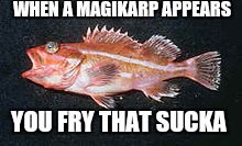 Pokemon go come hard at Magikarp | WHEN A MAGIKARP APPEARS; YOU FRY THAT SUCKA | image tagged in funny,pokemon go | made w/ Imgflip meme maker