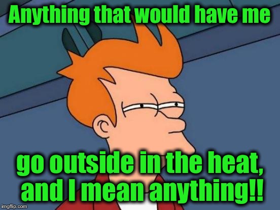 Futurama Fry Meme | Anything that would have me go outside in the heat, and I mean anything!! | image tagged in memes,futurama fry | made w/ Imgflip meme maker