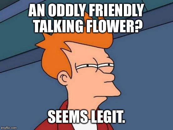 Flowey the flower | AN ODDLY FRIENDLY TALKING FLOWER? SEEMS LEGIT. | image tagged in memes,futurama fry,seems legit,flowey the flower,undertale | made w/ Imgflip meme maker