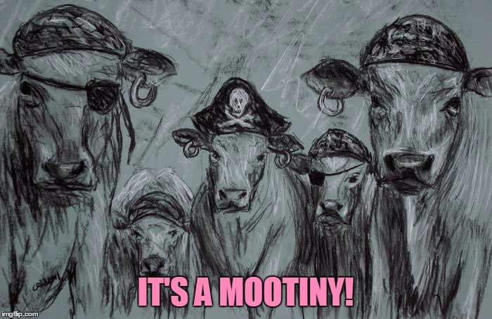 IT'S A MOOTINY! | made w/ Imgflip meme maker