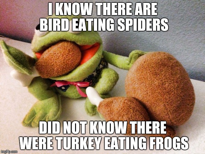 Yay! Another random template. | I KNOW THERE ARE BIRD EATING SPIDERS; DID NOT KNOW THERE WERE TURKEY EATING FROGS | image tagged in frog,turkey,random,eating | made w/ Imgflip meme maker