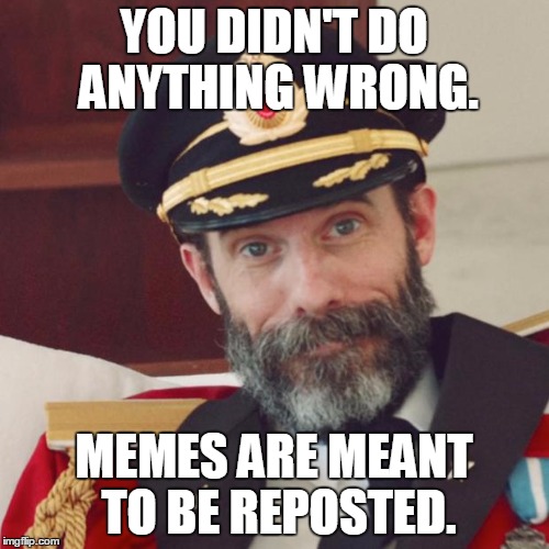 YOU DIDN'T DO ANYTHING WRONG. MEMES ARE MEANT TO BE REPOSTED. | made w/ Imgflip meme maker