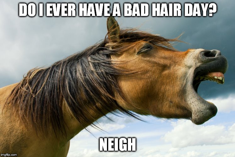 ever have one of those? | DO I EVER HAVE A BAD HAIR DAY? NEIGH | image tagged in bad pun,hair,horse,bad hair day | made w/ Imgflip meme maker