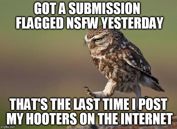omwowl | GOT A SUBMISSION  FLAGGED NSFW YESTERDAY; THAT'S THE LAST TIME I POST MY HOOTERS ON THE INTERNET | image tagged in omwowl | made w/ Imgflip meme maker