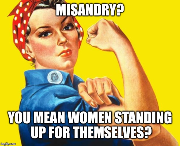 Feminism | MISANDRY? YOU MEAN WOMEN STANDING UP FOR THEMSELVES? | image tagged in feminism | made w/ Imgflip meme maker