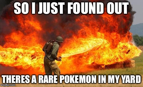 Finally figured out why it looks like a Bernie convention out there. | SO I JUST FOUND OUT; THERES A RARE POKEMON IN MY YARD | image tagged in nope flamethrower,memes,pokemon,pokemon go | made w/ Imgflip meme maker