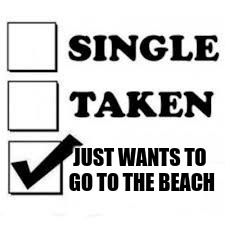 Single Taken Priorities | JUST WANTS TO GO TO THE BEACH | image tagged in single taken priorities | made w/ Imgflip meme maker