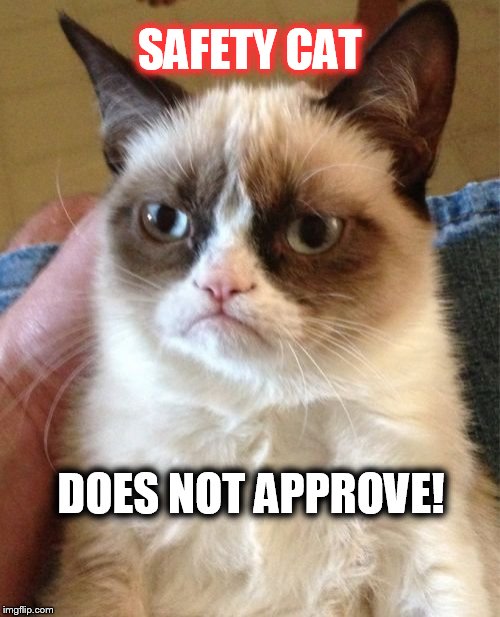 Grumpy Cat | SAFETY CAT; DOES NOT APPROVE! | image tagged in memes,grumpy cat | made w/ Imgflip meme maker