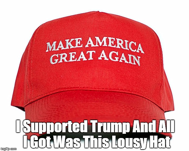 I Supported Trump And All I Got Was This Lousy Hat | made w/ Imgflip meme maker