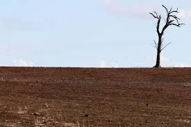 High Quality Barren Field Blank Meme Template