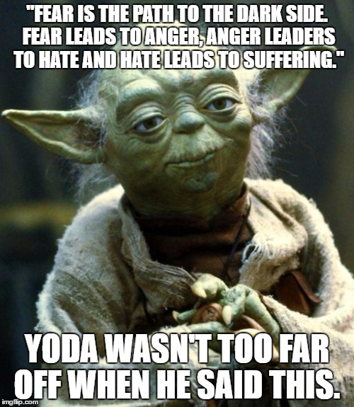 Star Wars Yoda | "FEAR IS THE PATH TO THE DARK SIDE. FEAR LEADS TO ANGER, ANGER LEADERS TO HATE AND HATE LEADS TO SUFFERING."; YODA WASN'T TOO FAR OFF WHEN HE SAID THIS. | image tagged in memes,star wars yoda | made w/ Imgflip meme maker