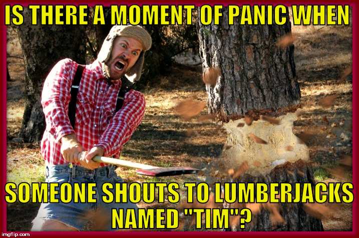 "I'm a lumberjack and I'm okay..." | IS THERE A MOMENT OF PANIC WHEN; SOMEONE SHOUTS TO LUMBERJACKS NAMED "TIM"? | image tagged in lumberjack,panic,timber | made w/ Imgflip meme maker