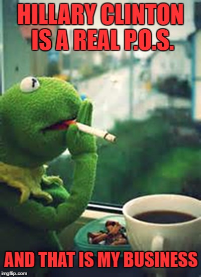 Kermit talks Real Talk | HILLARY CLINTON IS A REAL P.O.S. AND THAT IS MY BUSINESS | image tagged in kermit talks real talk | made w/ Imgflip meme maker