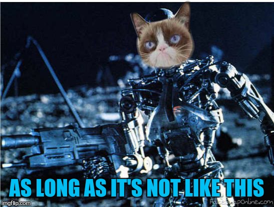 grump cat terminator | AS LONG AS IT'S NOT LIKE THIS | image tagged in grump cat terminator | made w/ Imgflip meme maker