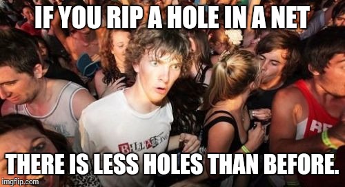 Sudden Clarity Clarence Meme | IF YOU RIP A HOLE IN A NET; THERE IS LESS HOLES THAN BEFORE. | image tagged in memes,sudden clarity clarence | made w/ Imgflip meme maker