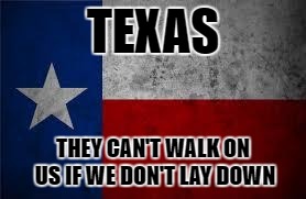 Texas Pledge | TEXAS; THEY CAN'T WALK ON US IF WE DON'T LAY DOWN | image tagged in texas pledge | made w/ Imgflip meme maker