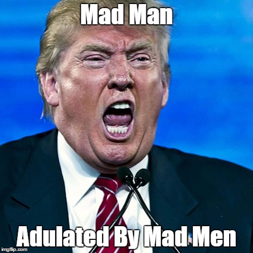 Image result for donald trump mad man pax on both houses